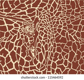 color illustration pattern background giraffe skins and heads