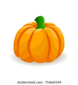 Color illustration of pumpkin. Element for your design for the decoration of the fall holidays, thanksgiving, harvest, Halloween. Vector illustration