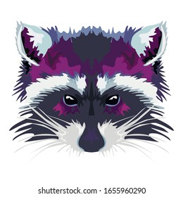 Color illustration of a raccoon on a white background. Vector 