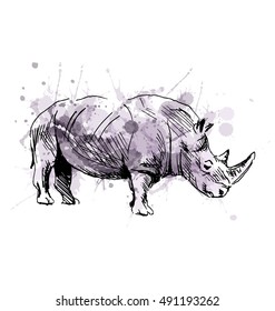 Color illustration of a rhinoceros. Vector illustration