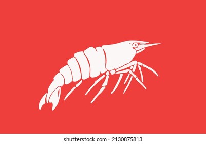Color illustration of shrimp on red background,vector sea-food 