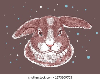 Color illustration, sketch drawn with markers. Home gray brown rabbit, head portrait. Vector. All elements of the illustration are isolated, it is easy to change colors and backgrounds.