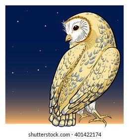 a color image of a barn owl looking back
