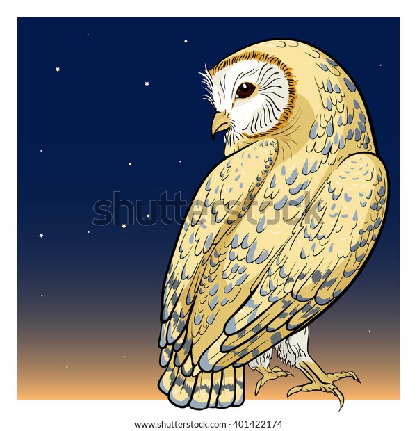 Color Image Barn Owl Looking Back Stock Vector Royalty Free