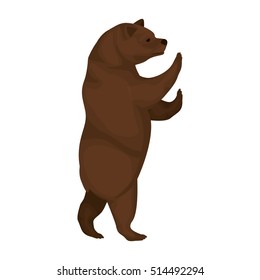 color image with bear of standing