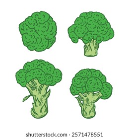 Color image of broccoli on a white background. Engraving style illustration with broccoli. Design for packaging, organic food, botanical illustration.