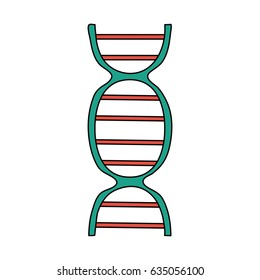 color image cartoon dna molecule