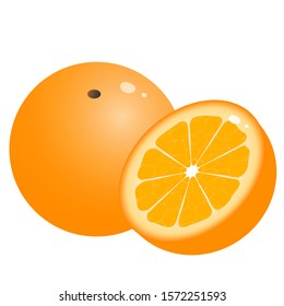 Color image of cartoon oranges on white background. Fruits. Vector illustration.