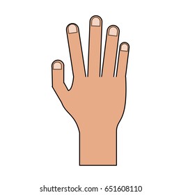 color image cartoon realistic hand human palm