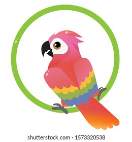 Color image of colorful parrot on white background. Pets. Vector illustration for kids.