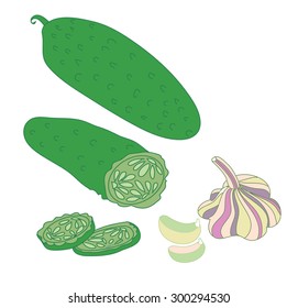 color image cucumber and garlic