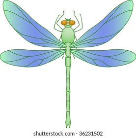 Color image of the dragonfly on a white background.