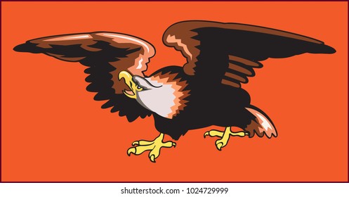 color image of an eagle a bird  predatory with a curved beak on an orange background
