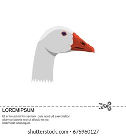 Color image. Goose's head