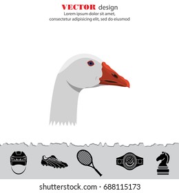 Color image. Goose's head