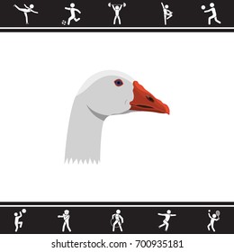 Color image. Goose's head
