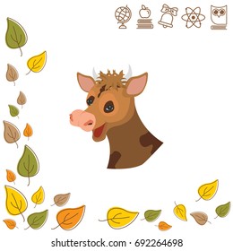 Color image. The head of a cow