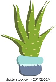Color image of a houseplant