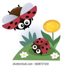 Color image of little ladybugs on white background. Insects and bugs. Vector illustration for kids.