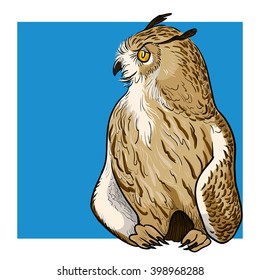 a color image of a sad owl sitting calm with its wings spread