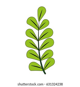 color image spring branch with ovals leaves