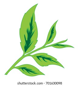Color image of tea leaves