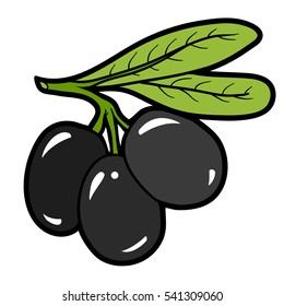 Color image, vector cartoon berry, Olives