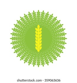 color image wheat