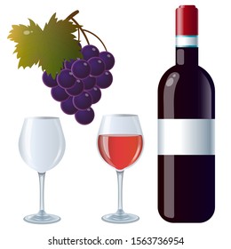 Color images of bottle of red wine with glasses and grape or grapevine on white background. Food and meals. Vector illustration set.