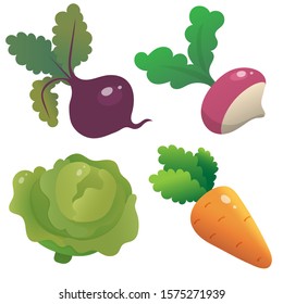 Color images of cartoon cabbage, carrot, beet and radish on white background. Vegetables. Vector illustration set for kids.