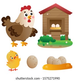 Color images of cartoon chicken or hen with chick, coop and eggs on white background. Farm animals. Vector illustration set for kids.