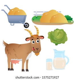 Color images of cartoon nanny goat with milk, cabbage and hay on white background. Farm animals. Vector illustration set for kids.