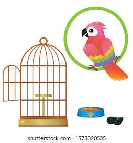Color images of colorful parrot and bird cage on white background. Pets. Vector illustration set for kids.
