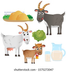 Color images of goat mum and goat dad with kid on white background. Farm animals. Vector illustration set for kids.