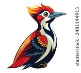 color imperial woodpecker illustrator file
