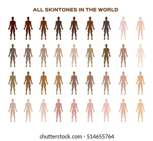 color index , infographic vector . dark to light skin