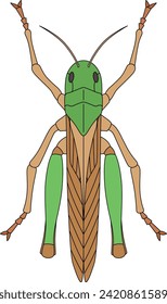 Color insect single icon Tonosama grasshopper