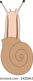 Color insect single item icon snail