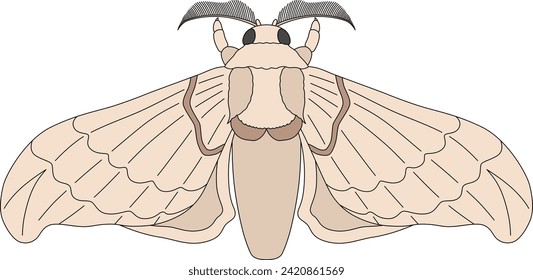 Color insect single item icon silkworm