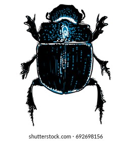Color insects beetle bug. Colourful species in vintage old hand drawn stippling and hatching, shading style for Halloween. Engraved stipple woodcut. Vector.