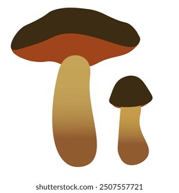 color isolated autumn mushrooms vector illustration. element for logo sticker poster print design decor backgrounds