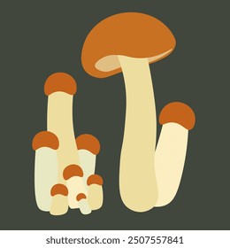 color isolated autumn mushrooms vector illustration. element for logo sticker poster print design decor backgrounds