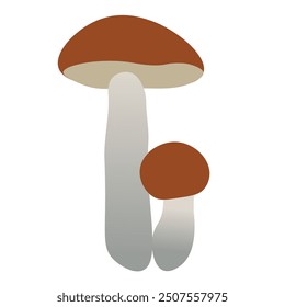 color isolated autumn mushrooms vector illustration. element for logo sticker poster print design decor backgrounds