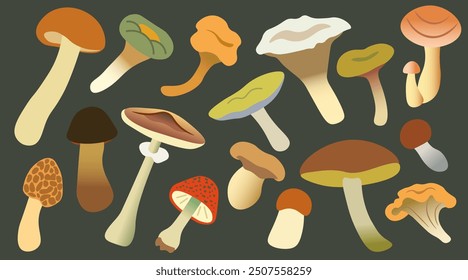 color isolated autumn mushrooms vector illustration set. element for logo sticker poster print design decor backgrounds