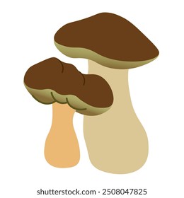 color isolated autumn mushrooms vector illustration. element for logo sticker poster print design decor backgrounds