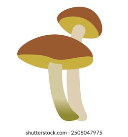 color isolated autumn mushrooms vector illustration. element for logo sticker poster print design decor backgrounds