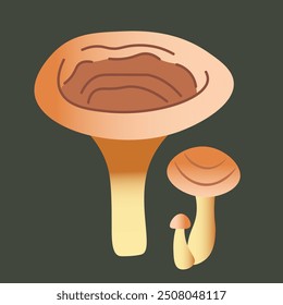 color isolated autumn mushrooms vector illustration. element for logo sticker poster print design decor backgrounds