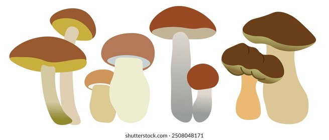 color isolated autumn mushrooms vector illustration set. element for logo sticker poster print design decor backgrounds