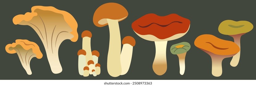 color isolated autumn mushrooms vector illustration set. element for logo sticker poster print design decor backgrounds