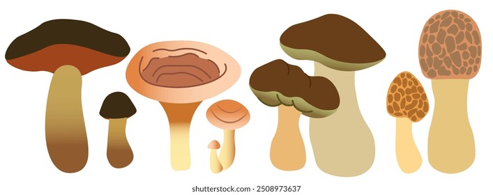 color isolated autumn mushrooms vector illustration set. element for logo sticker poster print design decor backgrounds